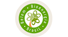 Logomarca da Belem Bioenergia empresa parceira da GN Empreendimentos Florestais